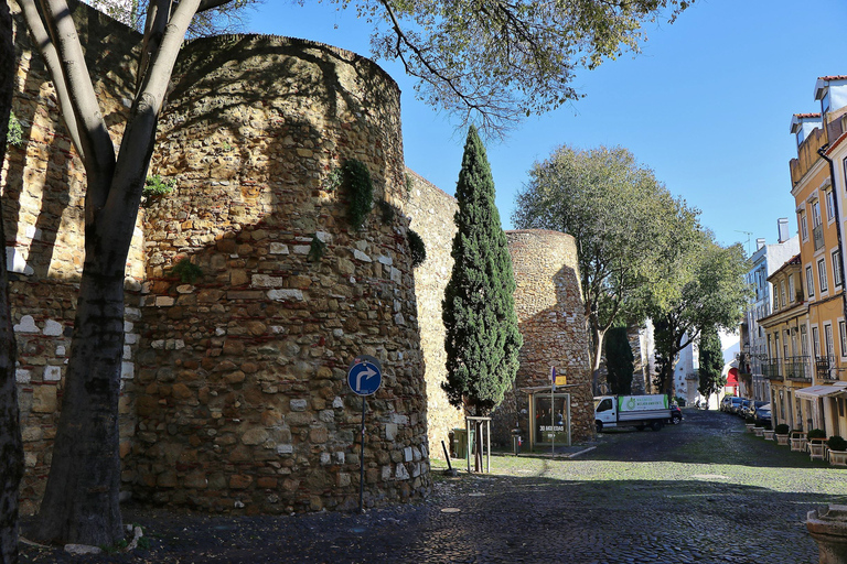 Lisbona: tour privato a piedi di 1 giornoTour di Lisbona in tedesco