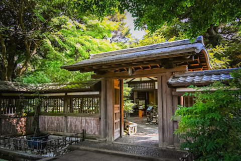 Tokyo : visite guidée en scooter électrique dans les quartiers cachés de ShibuyaTokyo : visite guidée en trottinette électrique dans le quartier caché de Shibuya