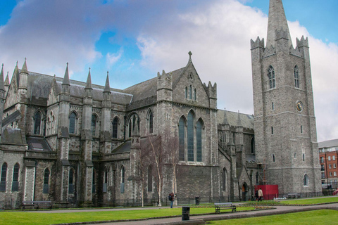 Best of Dublin: Private Walking Tour with a Local Private City Walking Tour - 6Hr