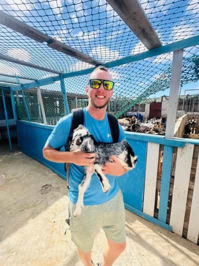 Boa Vista: spiaggia di conchiglie, fattoria di capre, faro, campi di ortaggi e villaggi