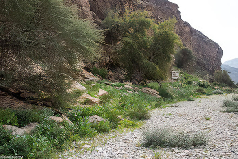 Wadi Dayqah/Wadi Al Arbaeen/Wadi Mayh (excursión de un día) 8 horas