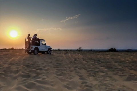 Excursion d'une journée à dos de chameau depuis JodhpurSafari à dos de chameau + safari en jeep