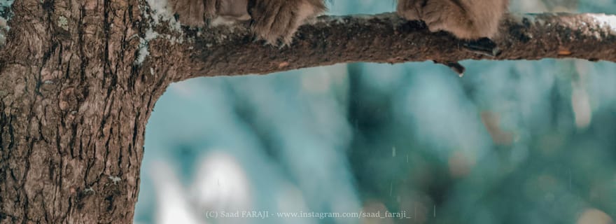 Transfert aller simple de Fès à Merzouga