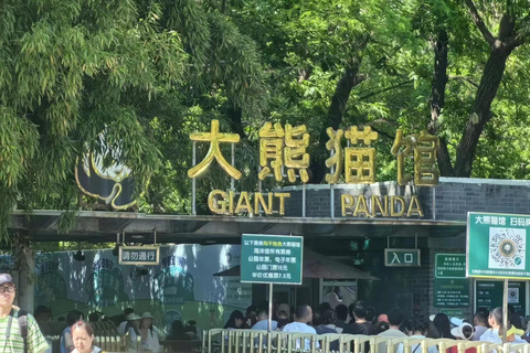 Viagem particular à Grande Muralha + Casa de Panda com motorista inglêsPartida da estação ferroviária de Beijing