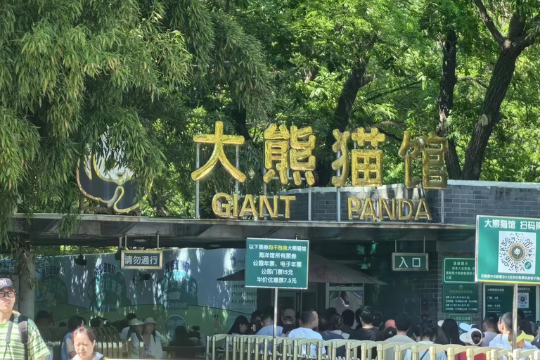 Viagem particular à Grande Muralha + Casa de Panda com motorista inglêsPartida da estação ferroviária de Beijing