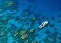 Great Barrier Reef Schnorchel & Tauch-Ganztages-Abenteuer - Housity