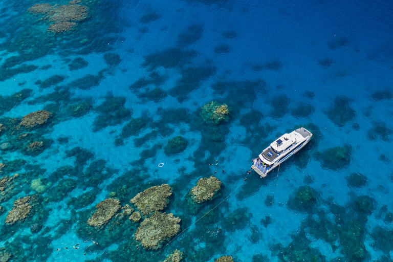 Great Barrier Reef Snorkel & Dive Full-Day Adventure Great Barrier Reef Snorkel & 1 Certified Dive