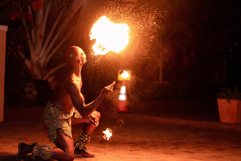 Montego Bay: Fire Show Dancer for Events