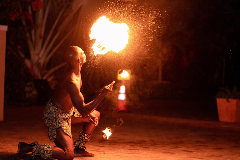 Montego Bay: Fire Show Dancer for Events