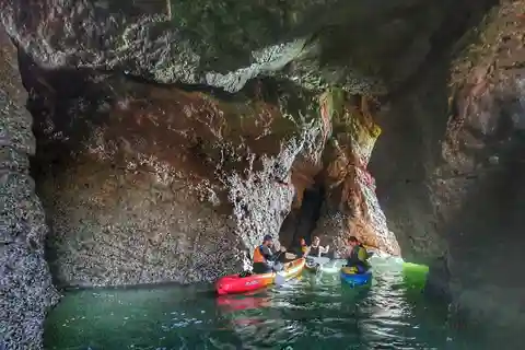 Wexford: Hell Hole & Back Sea Cave Kajakfahren