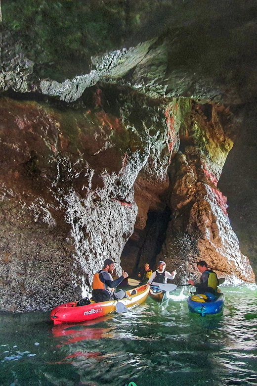 Wexford: Hell Hole & Back Sea Cave Kayaking | GetYourGuide