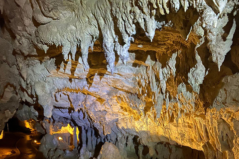 Desde Auckland Excursión Privada al Explorador de Cuevas y Luciérnagas de Waitomo