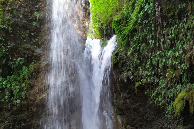 Fethiye: Saklıkent Canyon, Tlos, & Yakapark Tour