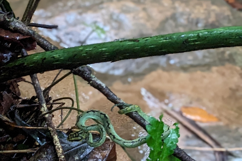Negombo: 2-Day Sinharaja Rainforest Private Trip