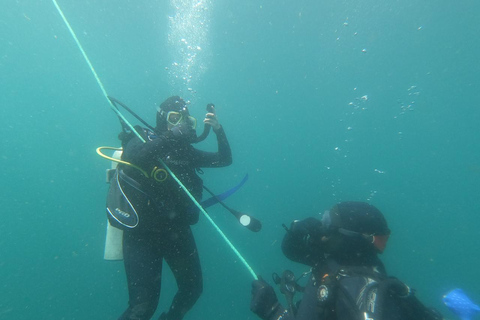 Lima : Découverte de la plongée sous-marine - Première expérience