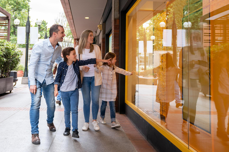 Descubre Dublín en un tour privado a pie por NavidadTour guiado en español