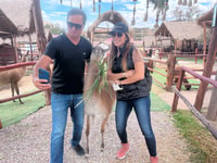 Pisaq, Ollantaytambo, Chinchero - Experiencia en el valle sagrado - Housity