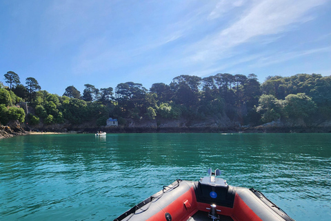 Saint-Malo: Sea walk & discovery of the Bay Saint-Malo: A boat ride in the Bay