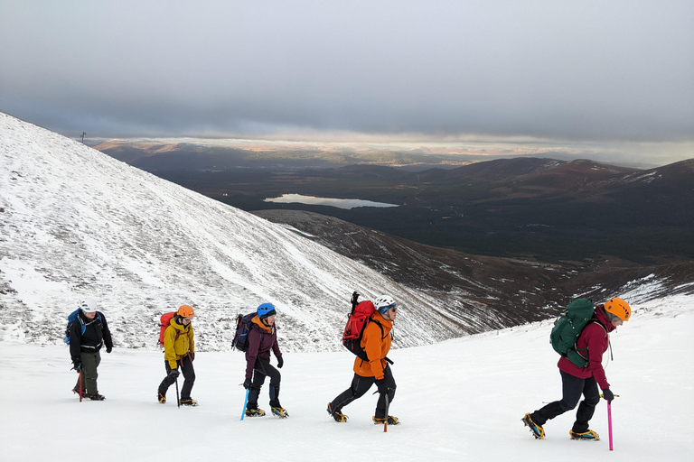 Cairngorms: aventura guiada de senderismo invernal