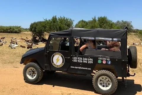 Safari di Albufeira con ingresso al Krazy World e alla Cappella delle Ossa
