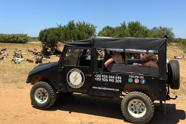 Albufeira Safari Tour with entrance in Krazy WorldAlbufeira Crazy Safari with Exotic Animals and Castle Tour