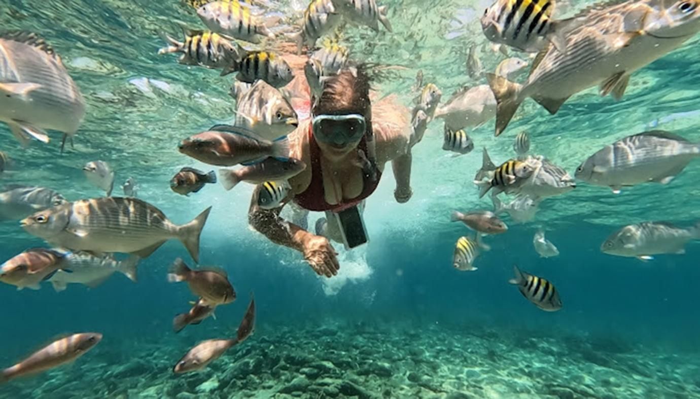 Cartagena: Ausflug zu den Rosario-Inseln und Playa Blanca mit Schnorcheln oder Aquarium