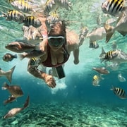 Cartagena: Ausflug zu den Rosario-Inseln und Playa Blanca mit Schnorcheln oder Aquarium