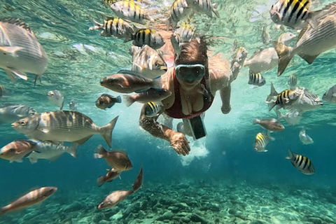 Cartagena: Excursion to the Rosario Islands and Playa Blanca with lunch