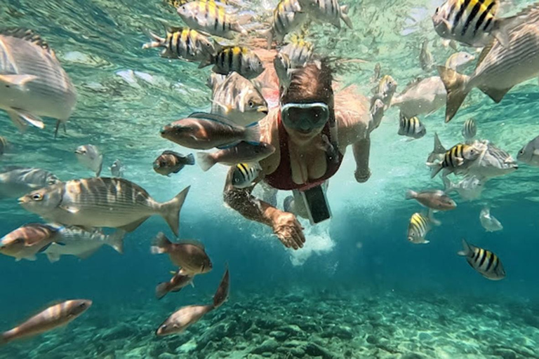 Cartagena: Excursion to the Rosario Islands and Playa Blanca with lunch