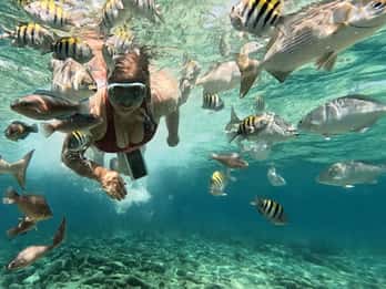 Cartagena: Utflykt till Islas del Rosario och Playa Blanca med snorkling eller akvarium