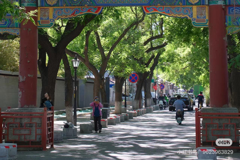 Beijing: Hutong Cultuur en Thee Proeven Privétour