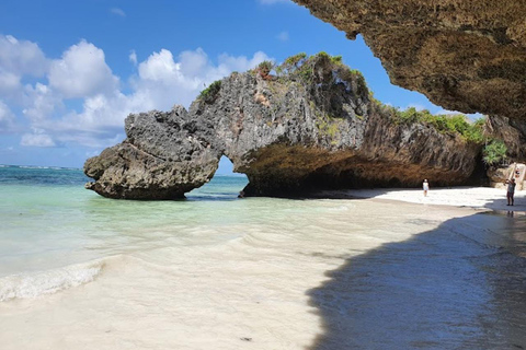 FLORESTA DO JOZANI/SANTUÁRIO DE TARTARUGAS MARINHAS/PRAIA DE MTENDEFLORESTA DE JOZANI/SANTUÁRIO DE TARTARUGAS MARINHAS/PRAIA DE MTENDE