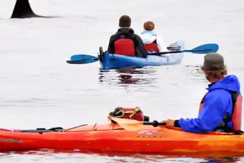 Orcas Island: Guided Kayak Adventure