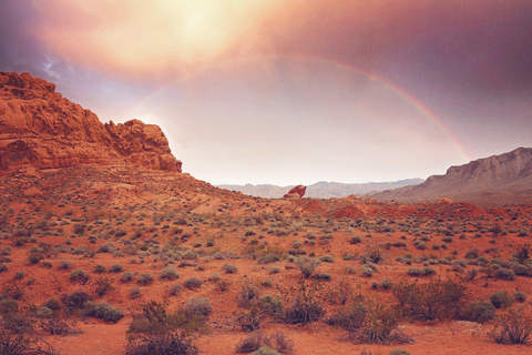 Las Vegas: Valley of Fire State Park Guided Tour