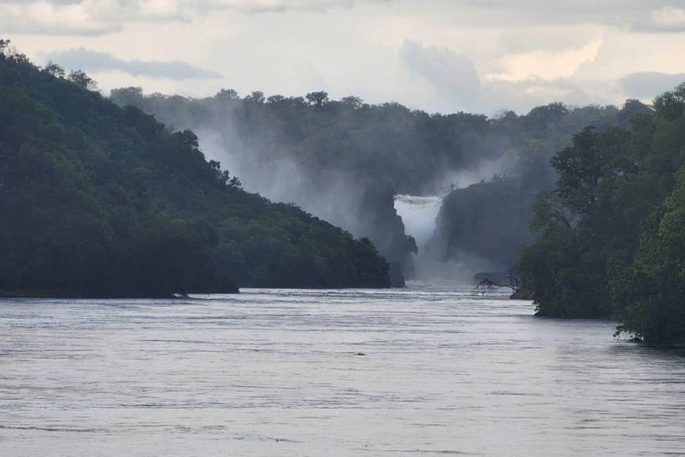 坎帕拉：穆西西瀑布Safari之旅，含尼罗河游船及犀牛观赏坎帕拉：穆希逊瀑布Safari之旅，含尼罗河游轮及犀牛观赏