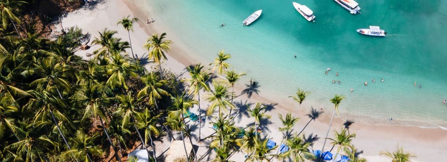 San José : Visite de l'île de Tortuga avec plongée en apnée et déjeuner