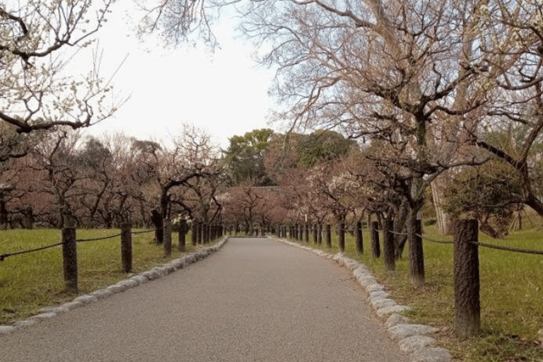 Osaka: Old Town Highlights and Castle Park Walking Tour