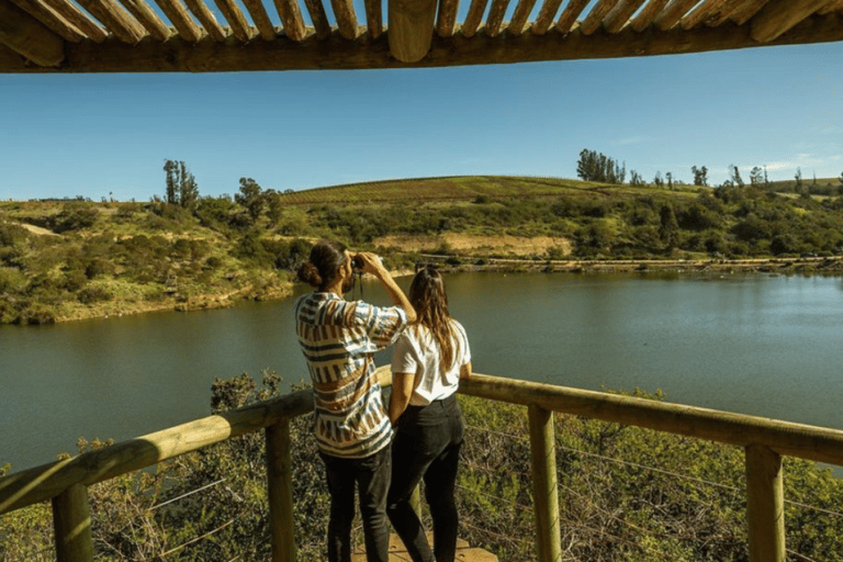 Santiago: Tricao Park i Pomaire Cultural Day TourSantiago: Park Tricao i Pomaire Cultural Day Tour