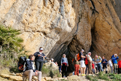 贝尔尼亚山脉环线：穿越 Forat 隧道的导览徒步提供接送服务