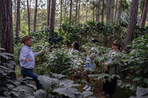 Desde Oxapampa: Villa Rica, la capital de la Ruta del Café