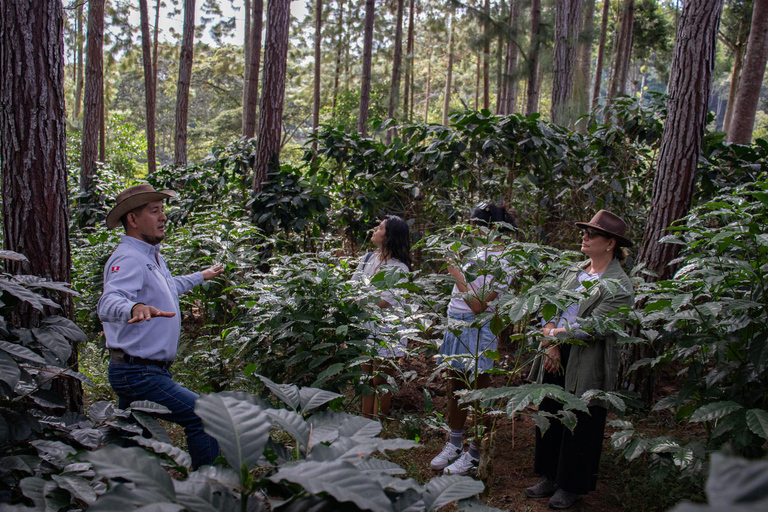 Depuis Oxapampa : Villa Rica, la capitale de la Route du Café