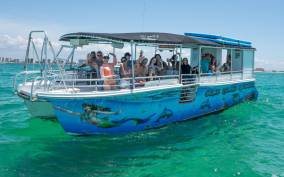 From Destin: Crab Island Boat Tour with Swim Stop