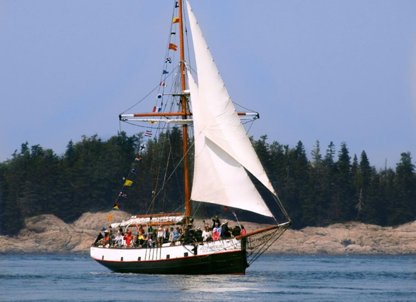 Fra Saint John: Hvalsafari i Saint Andrews