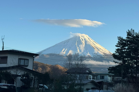 Tóquio: Monte Fuji e Hakone - Viagem de 1 dia com guia particularDe Tóquio: Viagem de 1 dia particular ao Monte Fuji e Hakone