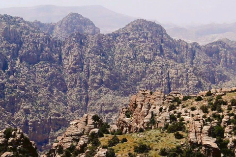 Från Amman Petra, Wadi Rum och Döda havet 3-dagars rundtur