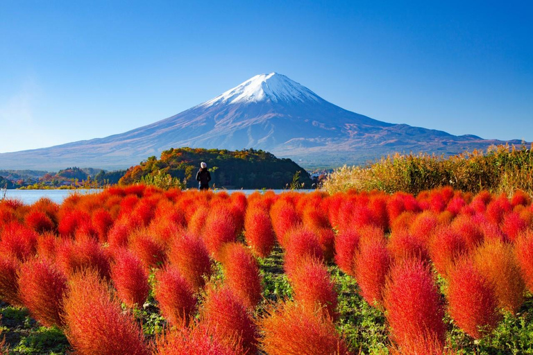 Tokyo: Mt Fuji&Chureito Pagoda&Lake Kawaguchi&Oshino Hakkai Free Karaage Chicken Set | 8AM Tokyo Station Departure