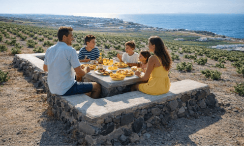 Santorini: Traditional Greek Picnic on an Organic Farm