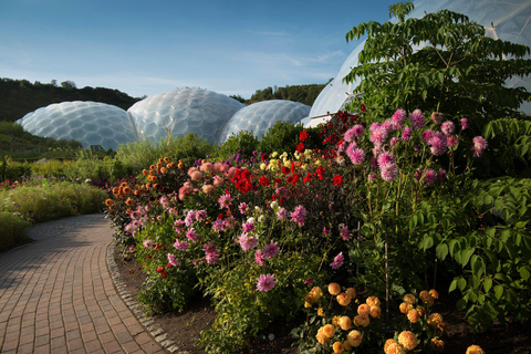 Kornwalia: Bilet wstępu do projektu Eden