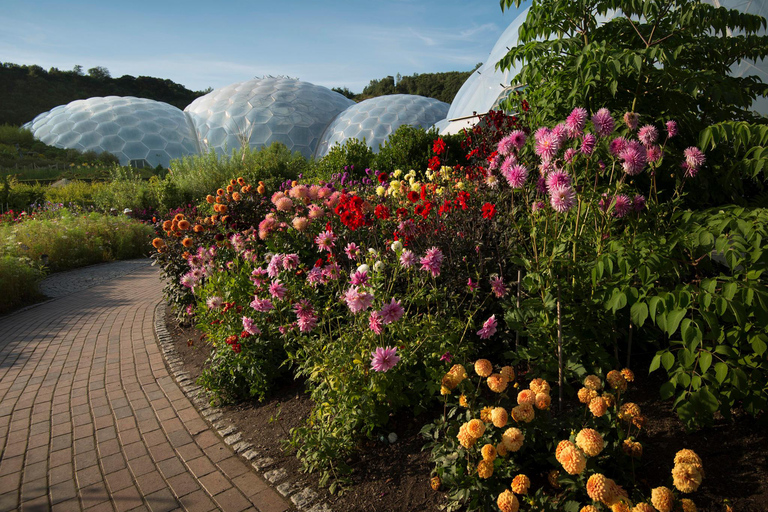 Kornwalia: Bilet wstępu do projektu Eden