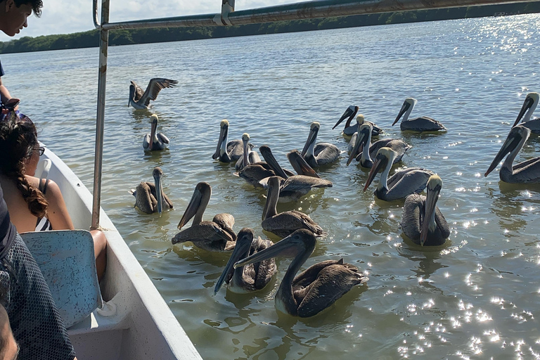 Natuurbelevenis Rio Lagartos en Las Coloradas.